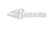 barracuda networks